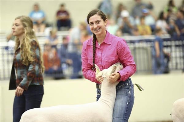Agriculture Fair Picture